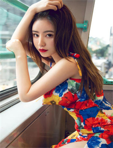 肥瑞的疯狂日记第1季