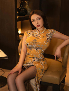 黑狐之风影电视剧全集